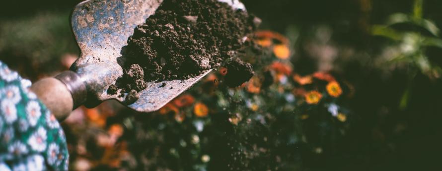 gardening shovel in dirt