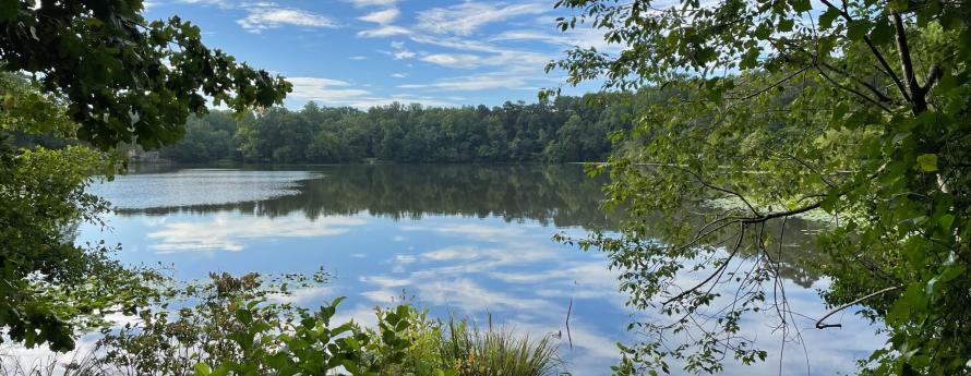 image of wetlands and pond