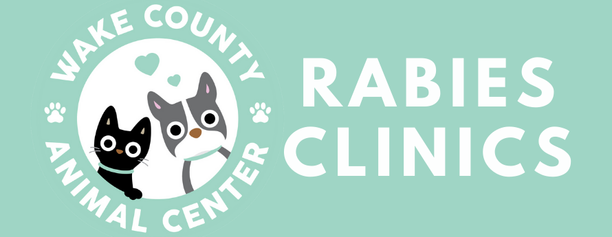 Rabies Clinic promotional picture with grey pit bull dog and black cat, the mascots for the Wake County Animal Center.