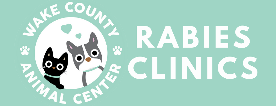 Rabies Clinic promotional picture with grey pit bull dog and black cat, the mascots for the Wake County Animal Center. 