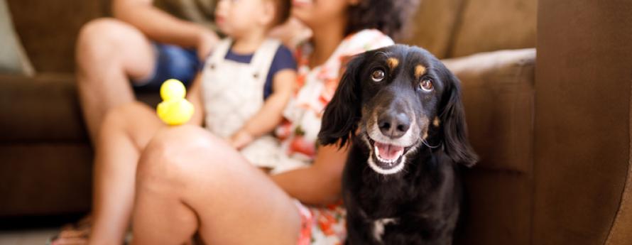 Family and their dog