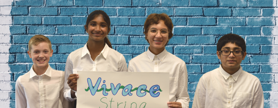 Vivace String Quartet