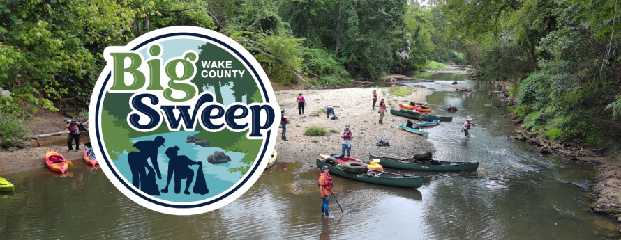 Big Sweep logo with volunteers