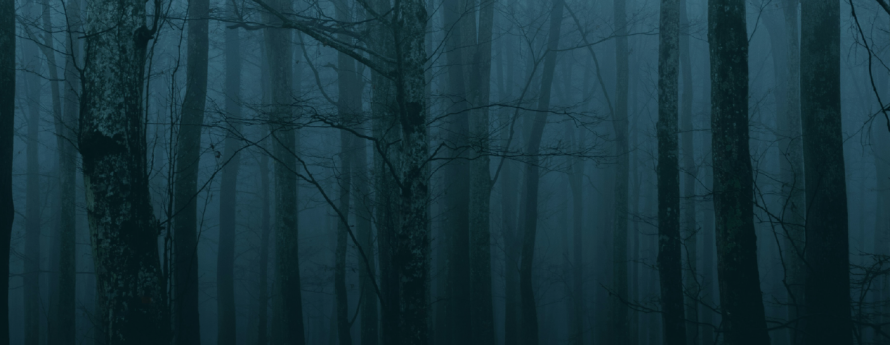Haunted Carolina
