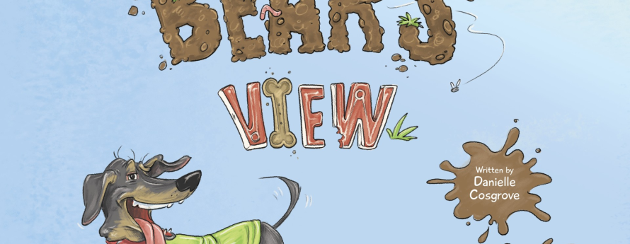 Bear's View