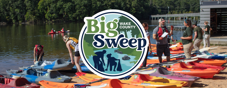 Big Sweep logo