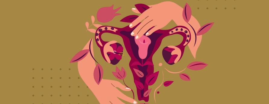 menopause education