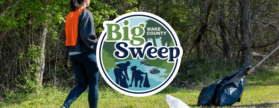 Big Sweep logo