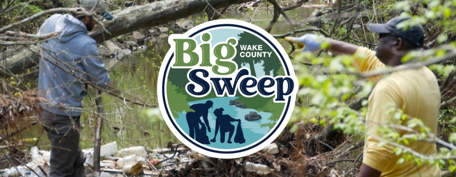 Big Sweep logo