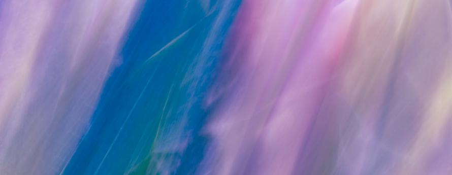 Image: Hanna Gelwix, "Lilies,” 2025, Photo © Hanna Gelwix