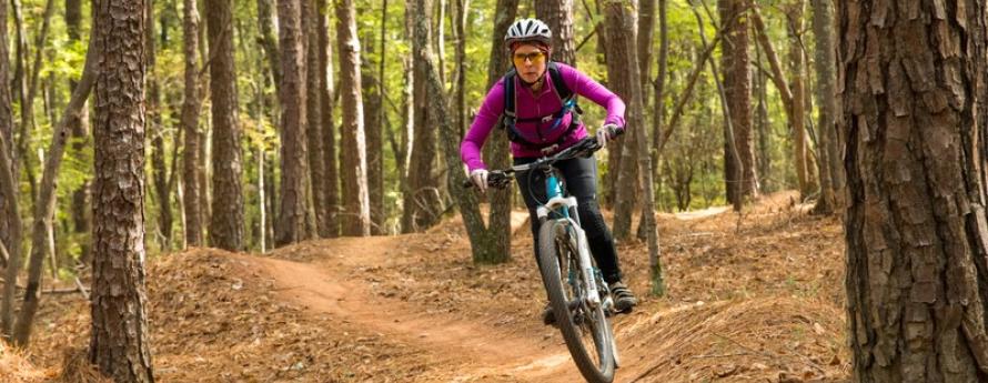 person rides a mountain bike on a wooded trail
