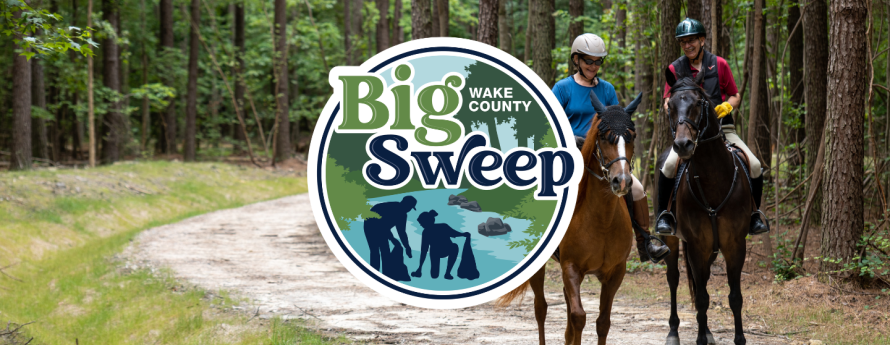 Big Sweep logo