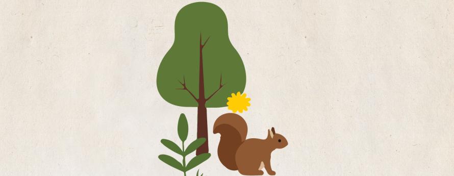 image of a squirrel and a tree