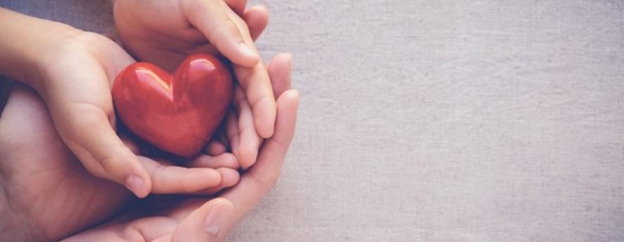 Two hands holding a red heart.