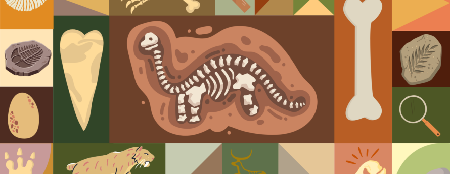 Different fossil icons in different colored green and brown squares with a large brontosaurus fossil in center.