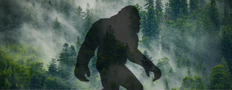 Bigfoot silhouette image on foggy forest background.