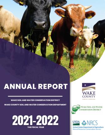 A black cow and a brown cow.