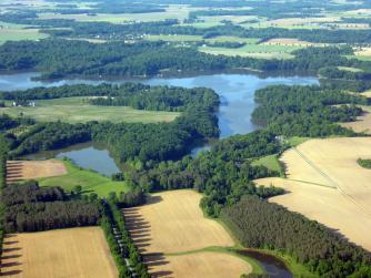 Surface water with trees around the edges as a riparian buffer