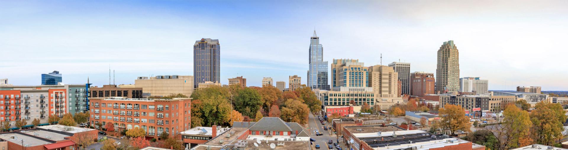 Photo of the downtown Raleigh skyline