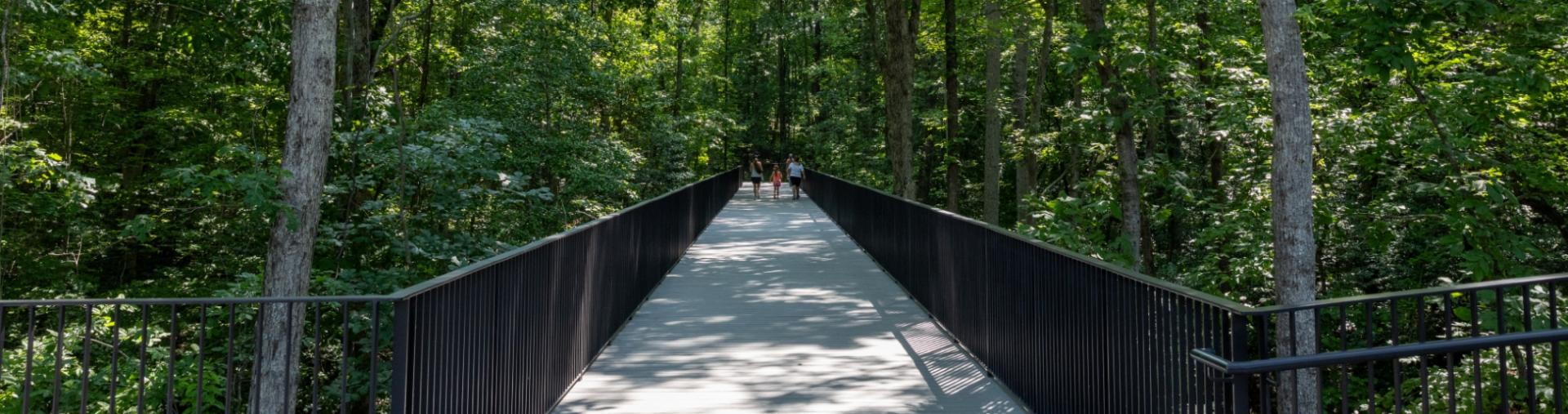 Bridge extending through trees at Beech Bluff County Park