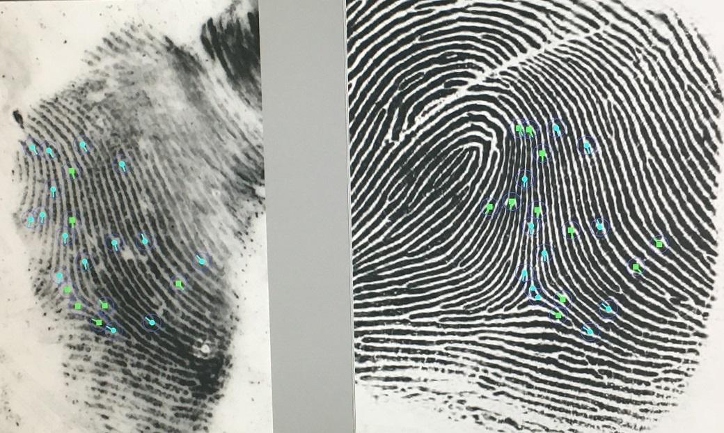 Fingerprint comparison for identification