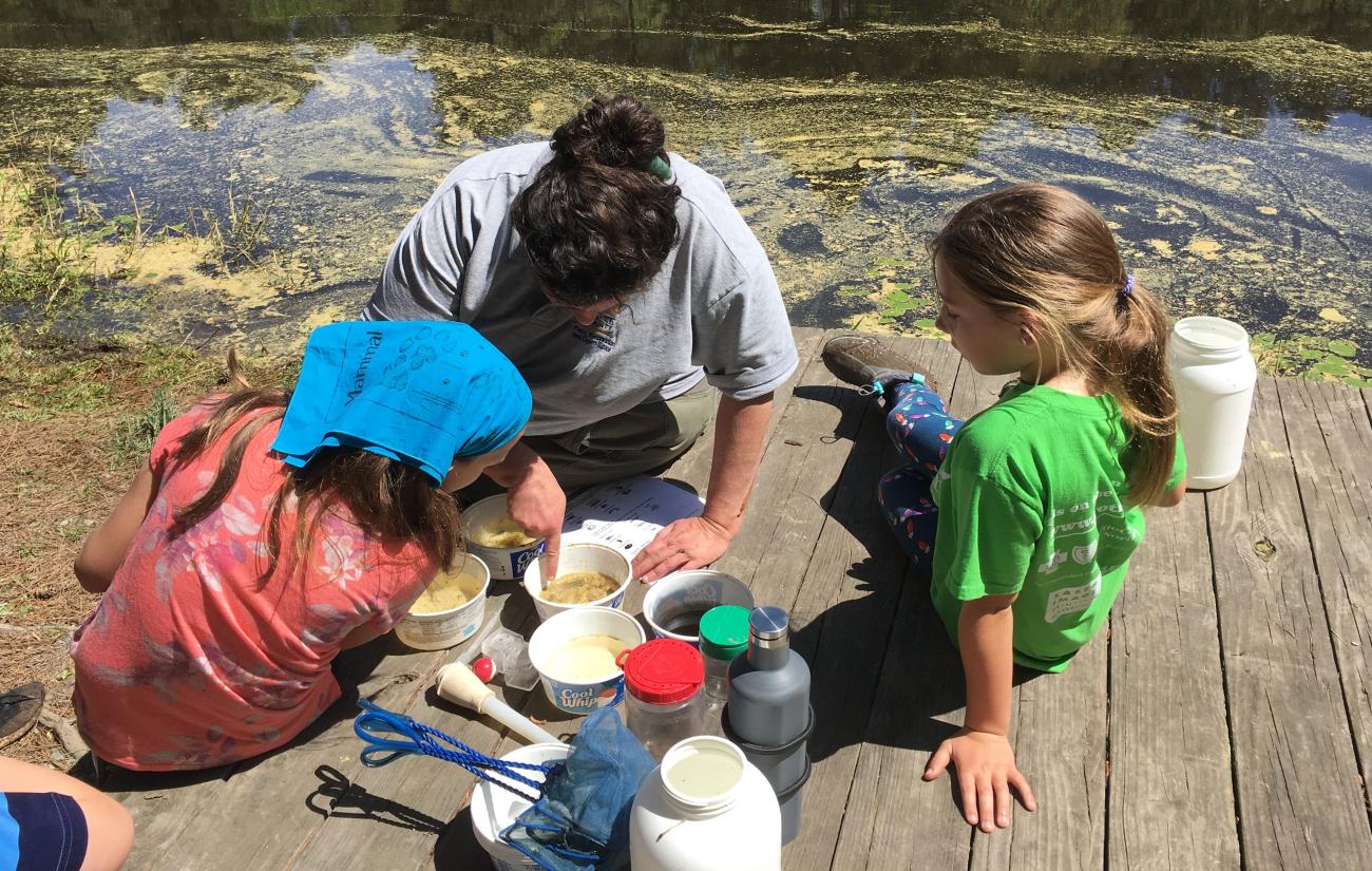 A photo of kids and park staff on a wooden dock investigating critters found during a pond study program