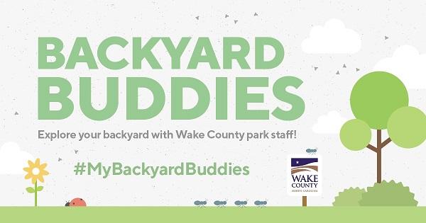 Flyer for backyard buddies social media program