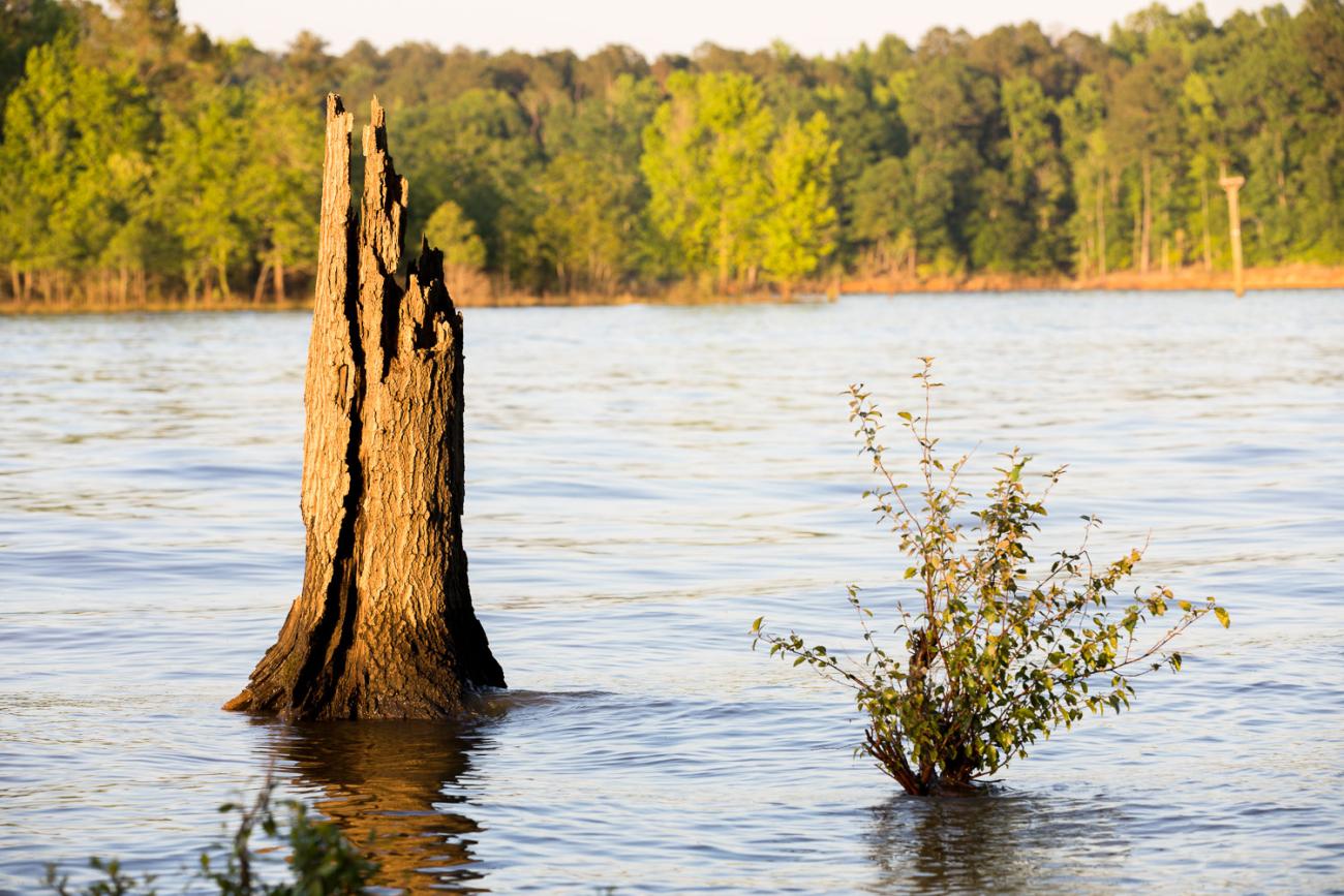 View across Falls Lake from Blue Jay's shoreline