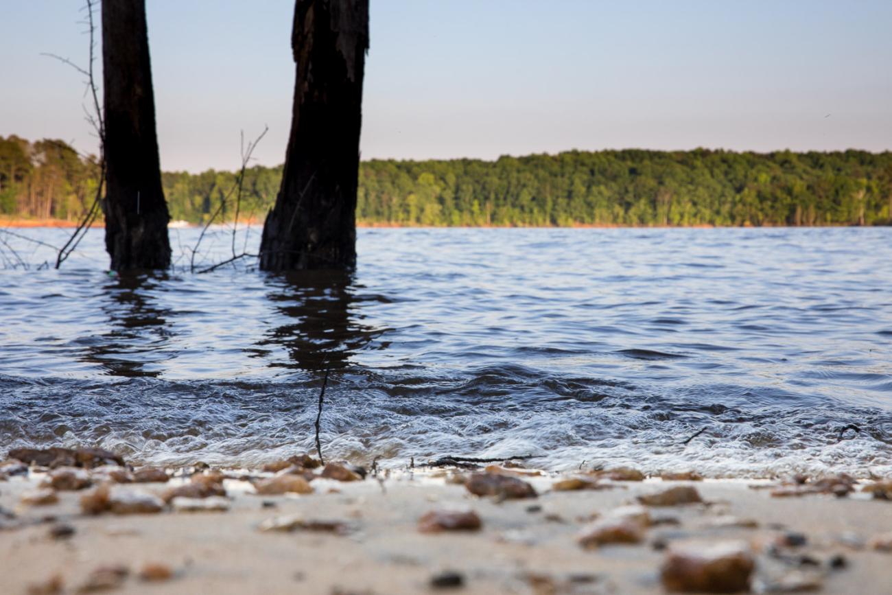 Ground level photo of shoreline looking out into the lake with a couple trees standing in the water.