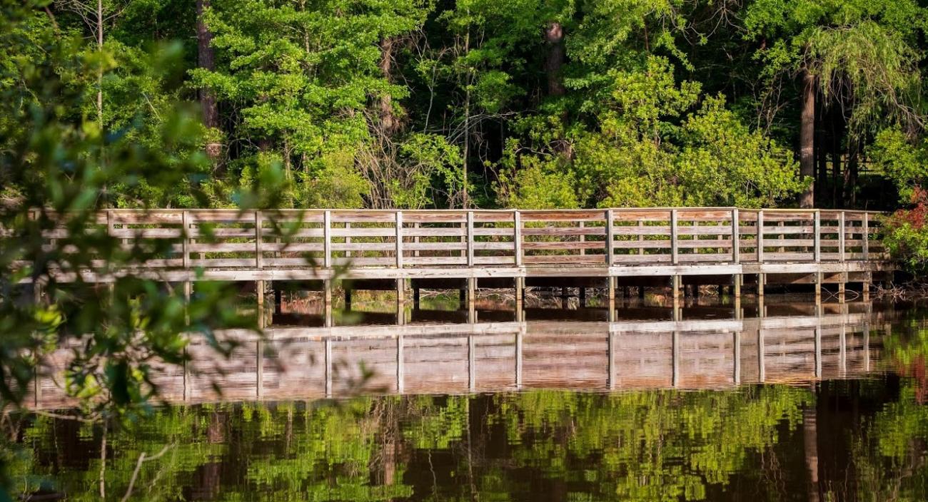 view of pond boardwalk from across pond with reflection in water and trees in background