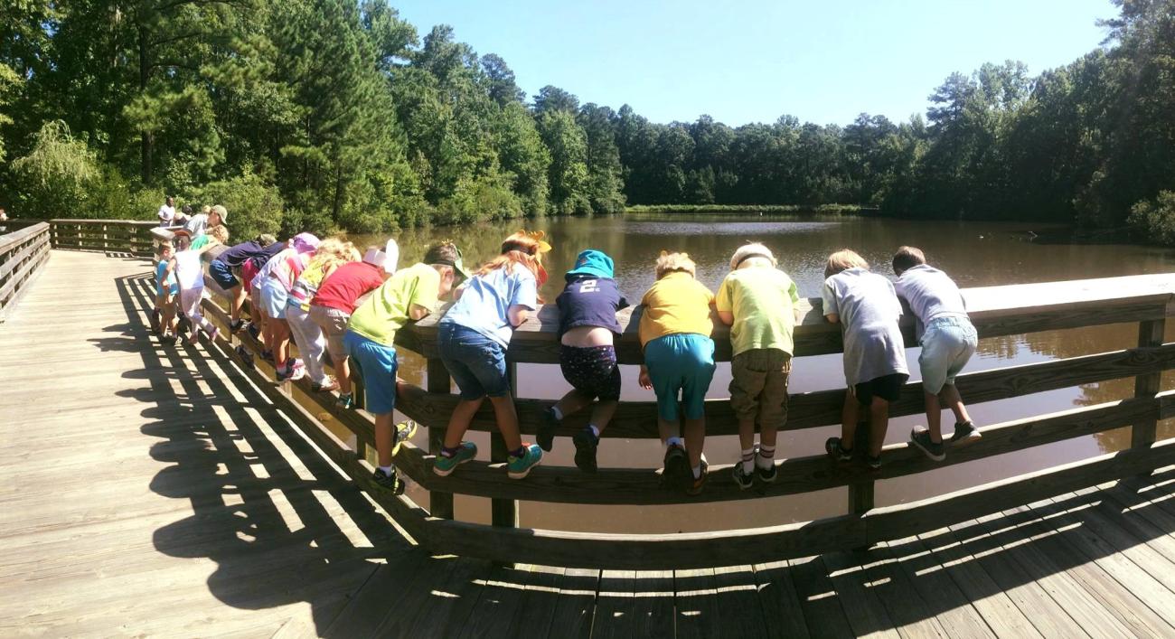 Group of children look over the pond on the main wooden boardwalk