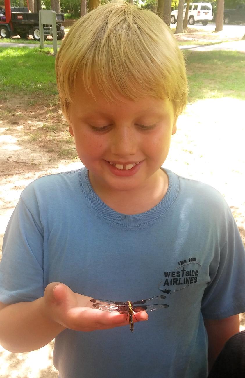 Photo of a boy at day camp holding a dragonfly