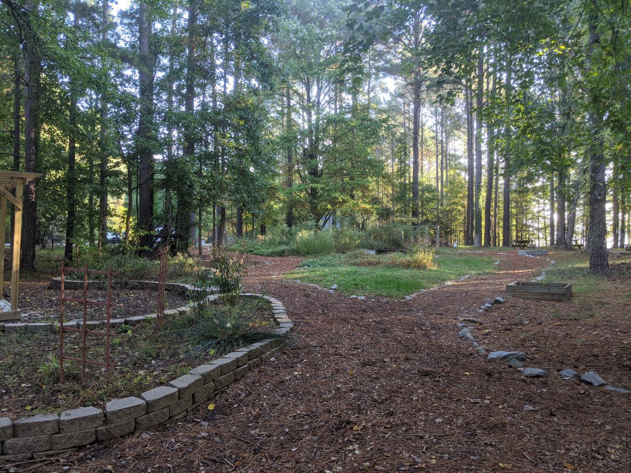 Photo of the Educational Garden showing mulched paths and raised beds