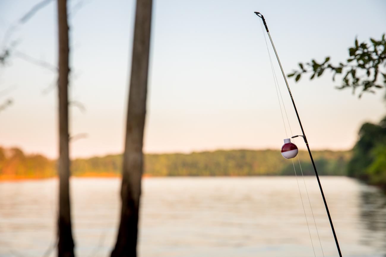 Fishing pole with red and white bobber silhouetted against the lake