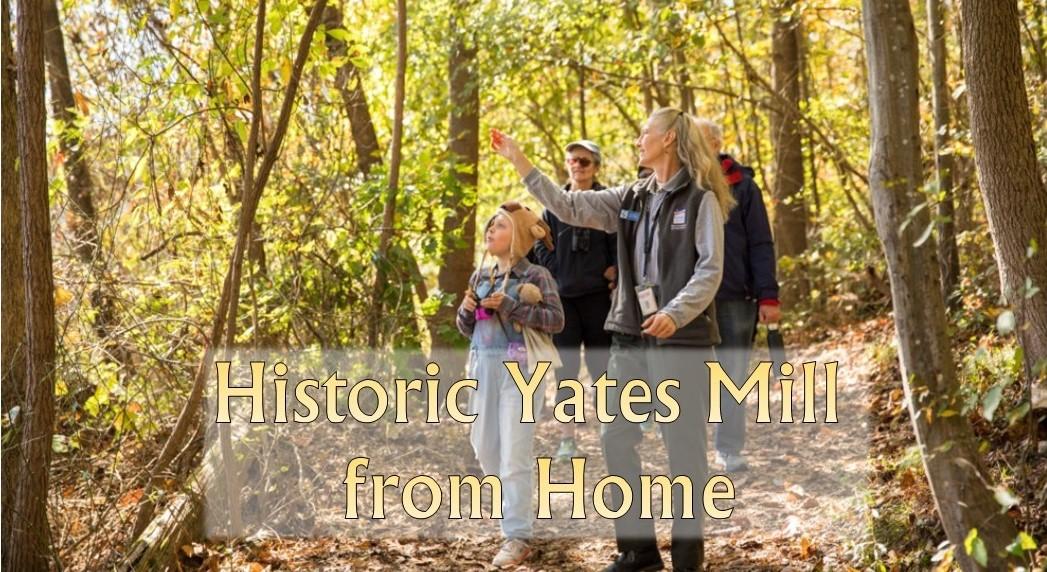 Educator walks with group of visitors on unpaved path surrounded by trees