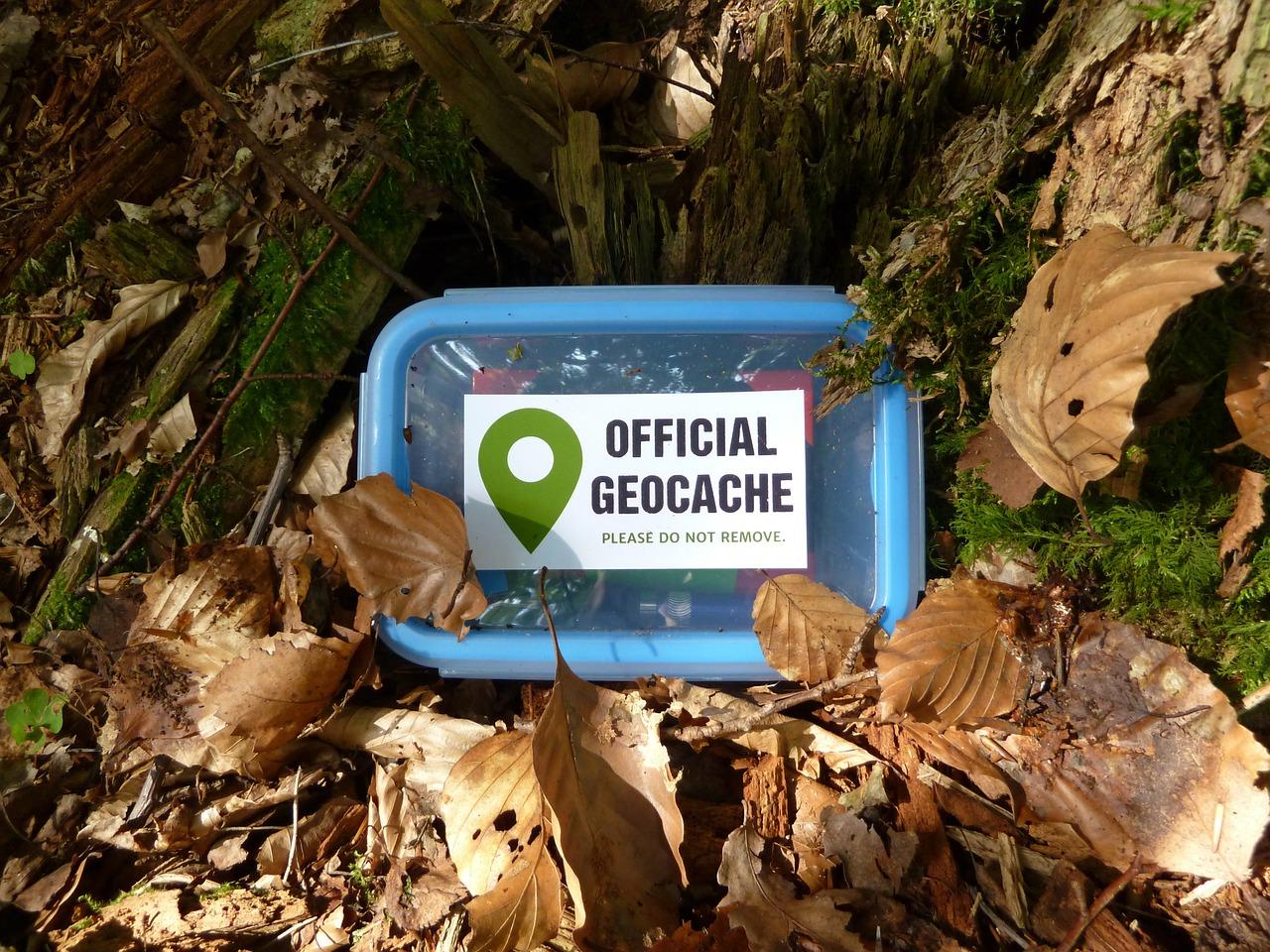 Image of a labeled geocache plastic container on the forest floor