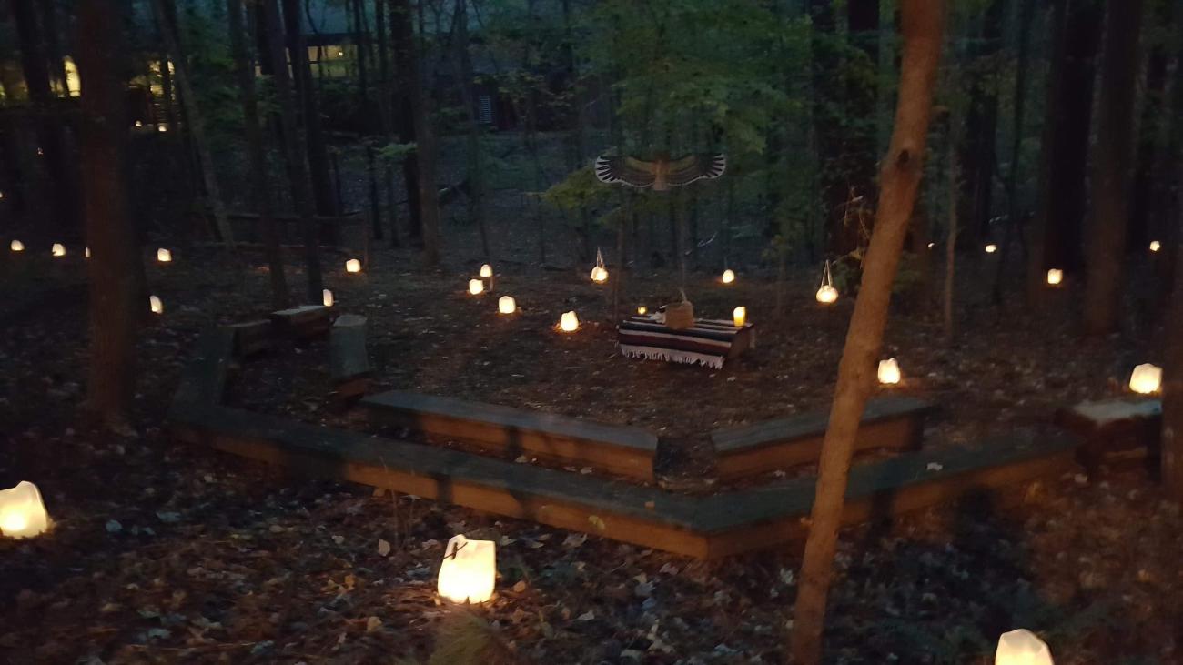 Lighted luminaries through the woods at dusk