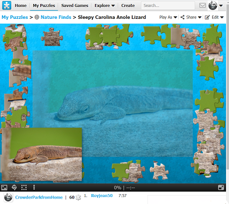 lizard sleeps on log with green background in virtual puzzle background