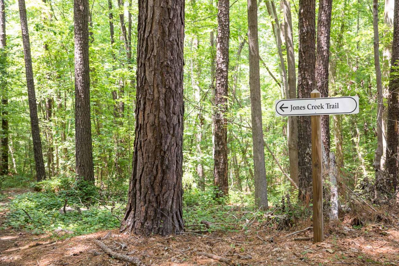 entrance to the jones creek trail at Oak View