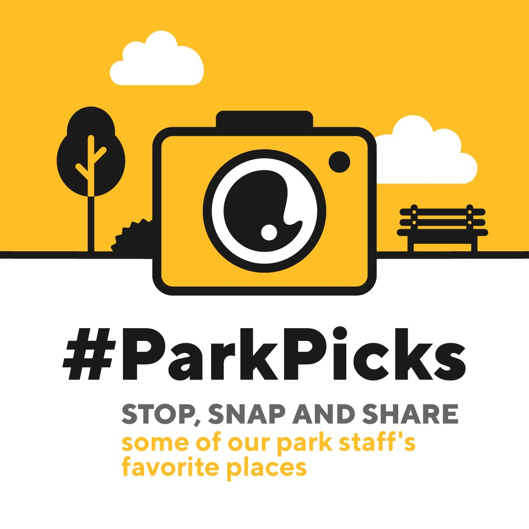 Image promoting Park Picks