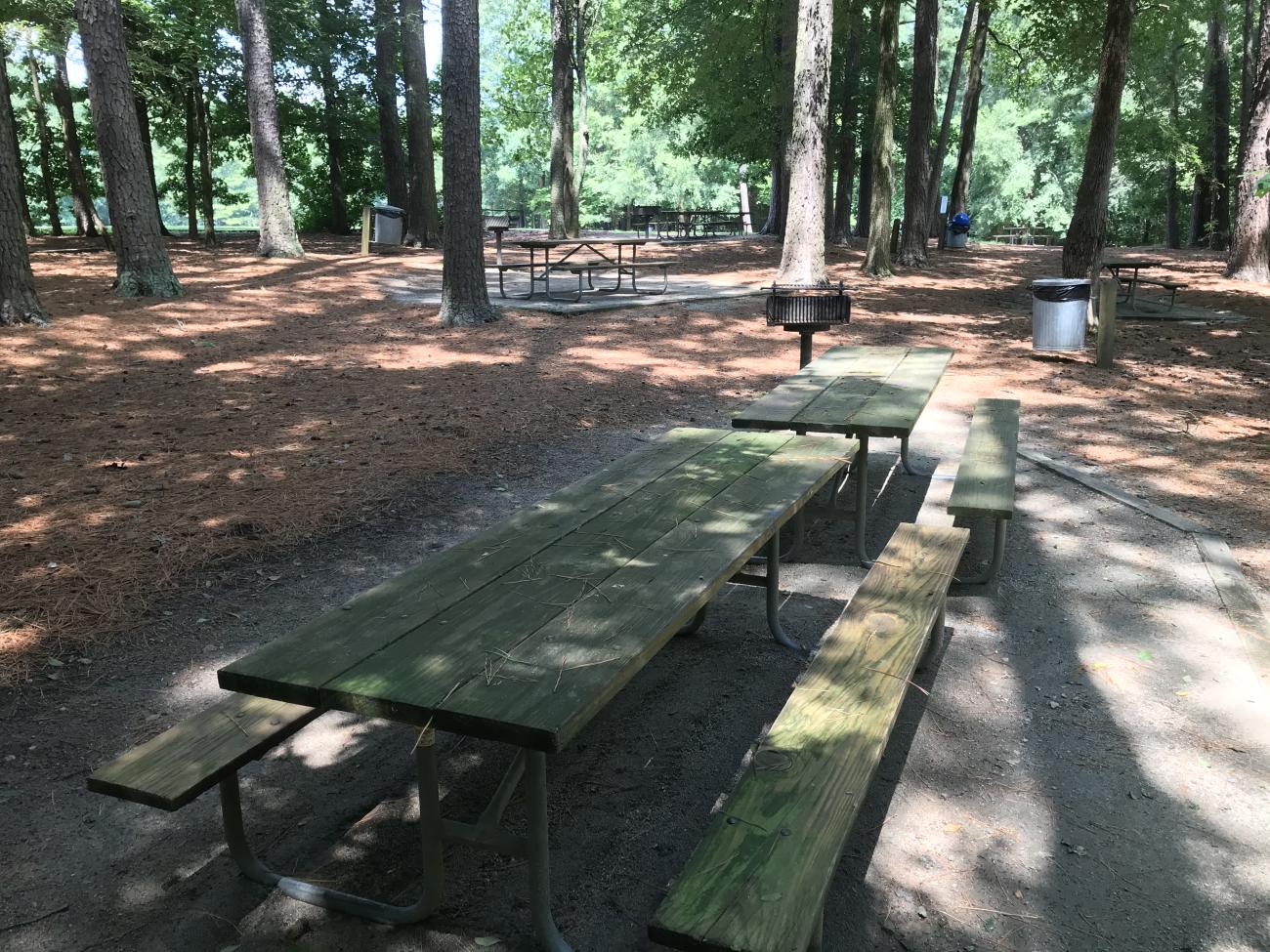 Picnic table with grill in shaded picnic area