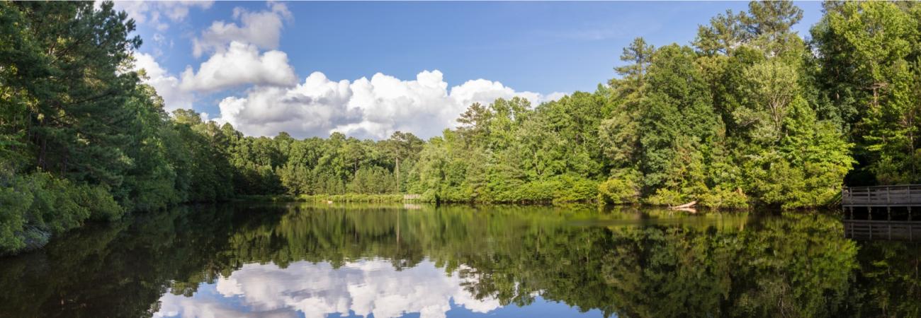 View of the pond from the boardwalk in summer with clouds reflecting in the water