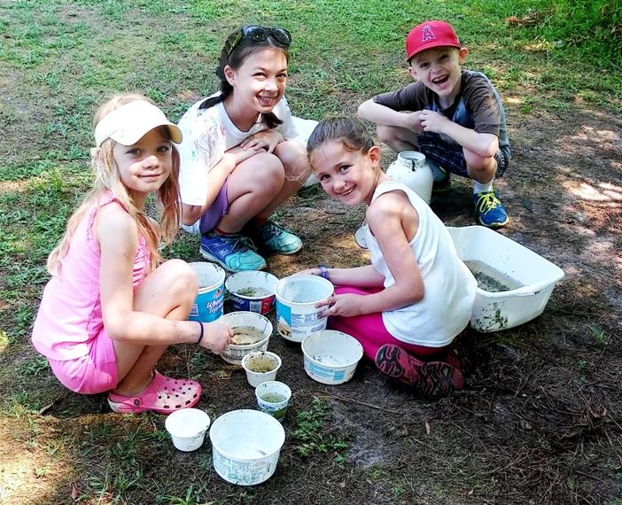 A photo of four kids at day camp looking in various tubs and plastic containers at aquatic critters gathered during a pond study program