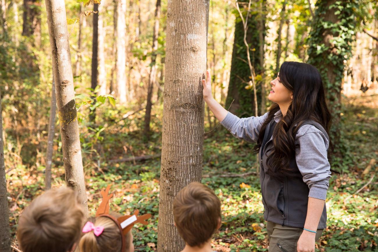 programmer and children observe tree together during nature hike