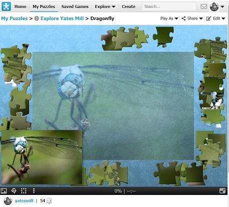 Screenshot of a nature puzzle featuring a dragonfly