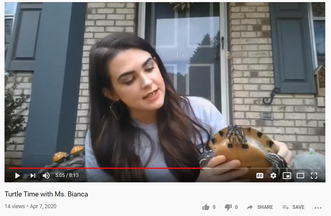 Screenshot of Youtube video of programmer talking with turtle