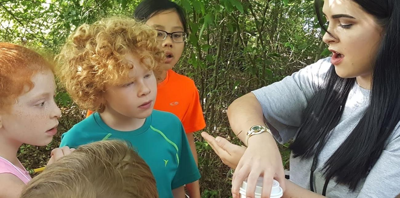 kids look at stick insect with educator