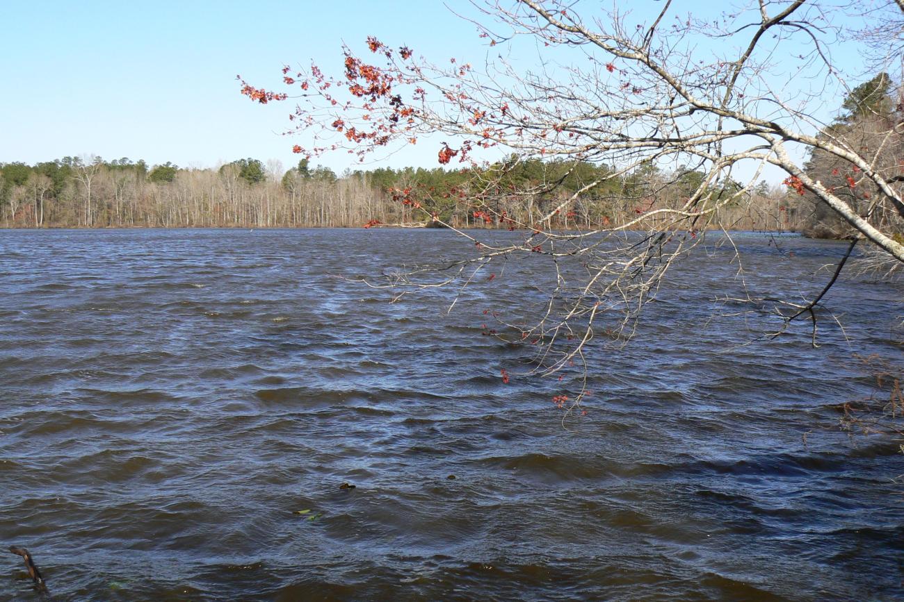 view across lake myra with pines on other side