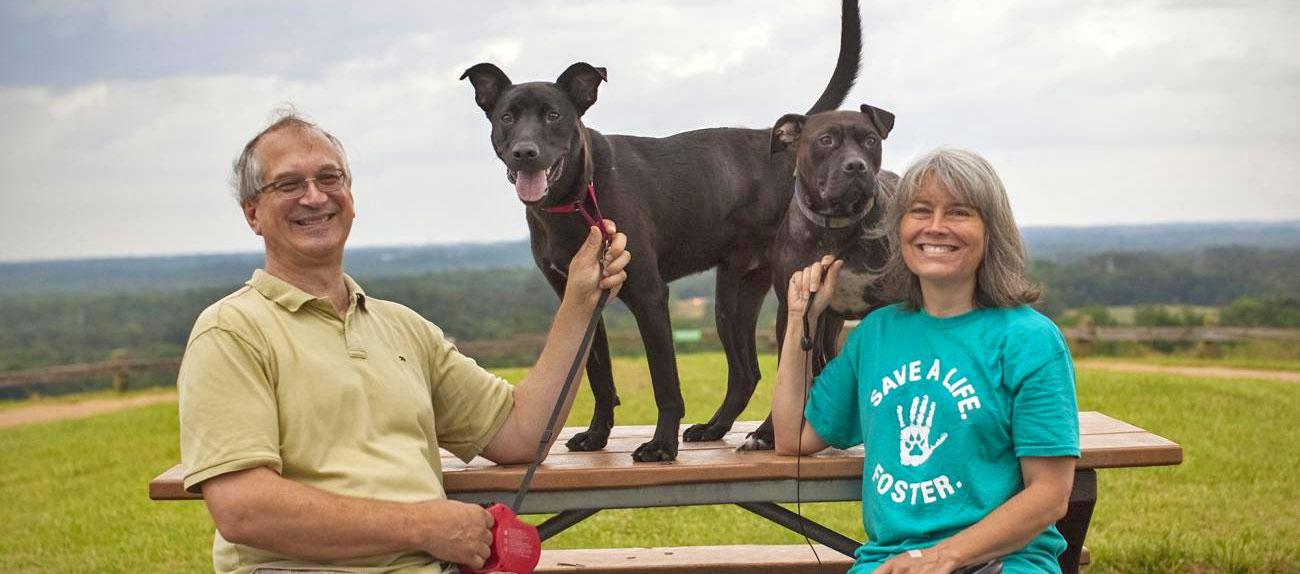 Dog on picnic table with owners sitting there