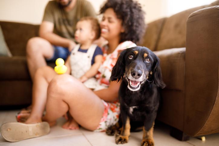 Family and their dog